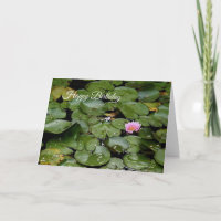Lily Pond Geburtstagskarte
