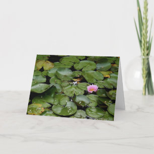 Lily Pond Geburtstagskarte Karte