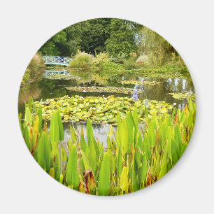 Lily Pond Magnet