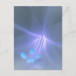 Lily Postcard invertieren Postkarte