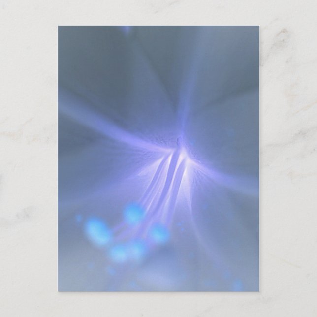 Lily Postcard invertieren Postkarte (Vorderseite)