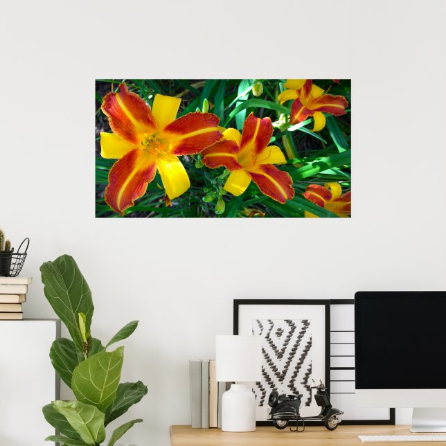 Lily, Poster (Heimbüro)