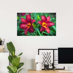 Lily, Poster