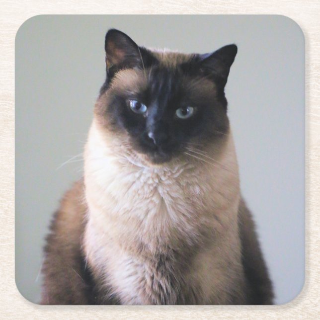 Lily Rechteckiger Pappuntersetzer (Vorderseite)