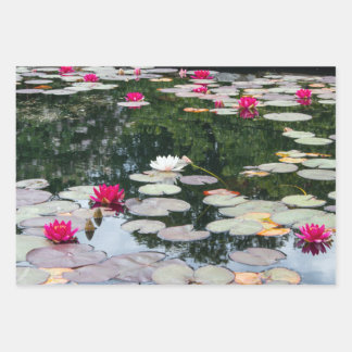 Lily-Teich Geschenkpapier Set