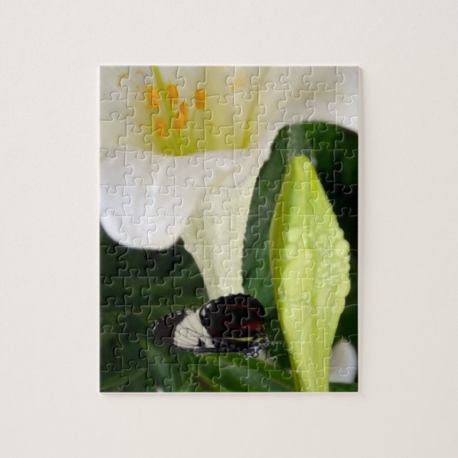 Lily und Butterfly Puzzle (Vertikal)
