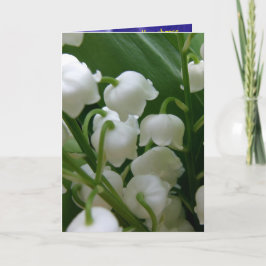 Lily White Blume Friedensbüro Liebe Destiny Karte