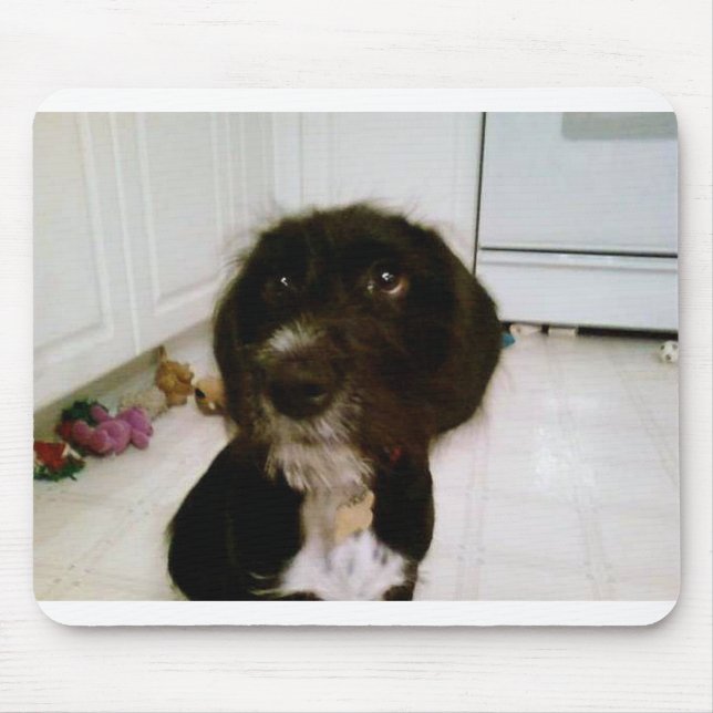 Lilypad Mausunterlage Mousepad (Vorne)