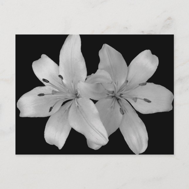 Lilys Postkarte (Vorderseite)