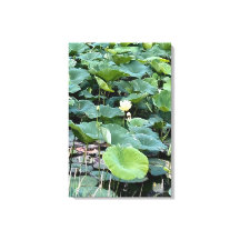 Lilyshade Silence 20 x30