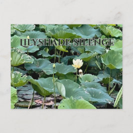 Lilyshade Silence Postkarte
