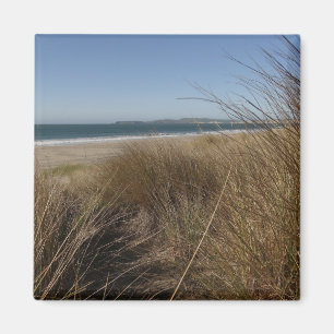 Limantour Beach am Point Reyes National Seashore I Magnet