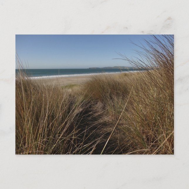 Limantour Beach am Point Reyes National Seashore I Postkarte (Vorderseite)