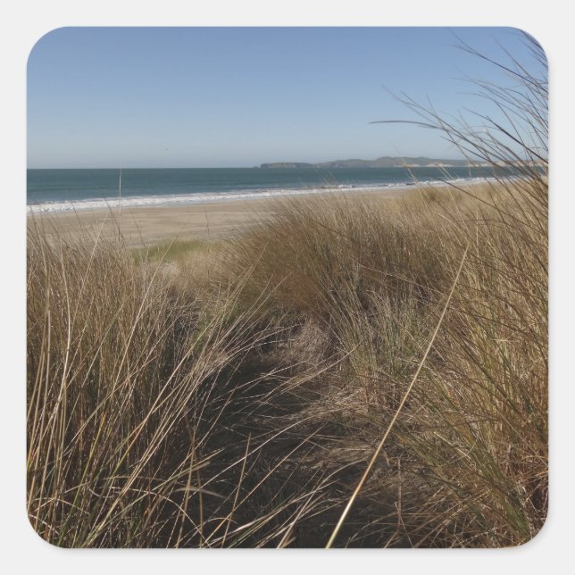 Limantour Beach am Point Reyes National Seashore I Quadratischer Aufkleber (Vorderseite)