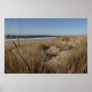 Limantour Beach bei Point Reyes II Poster