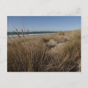 Limantour Beach bei Point Reyes II Postkarte