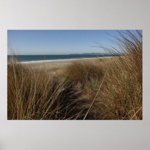 Limantour Beach im Point Reyes National Seashore I Poster