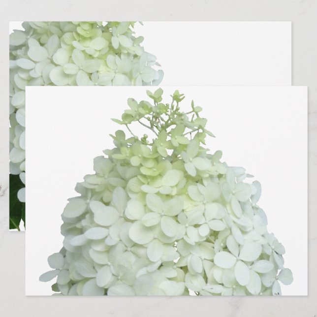 Limelight Hydrangea Bridal / Polterabend Einladung (Vorne/Hinten)