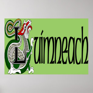 Limerick (gälisch) Poster Print