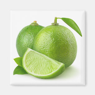 Limes Magnet