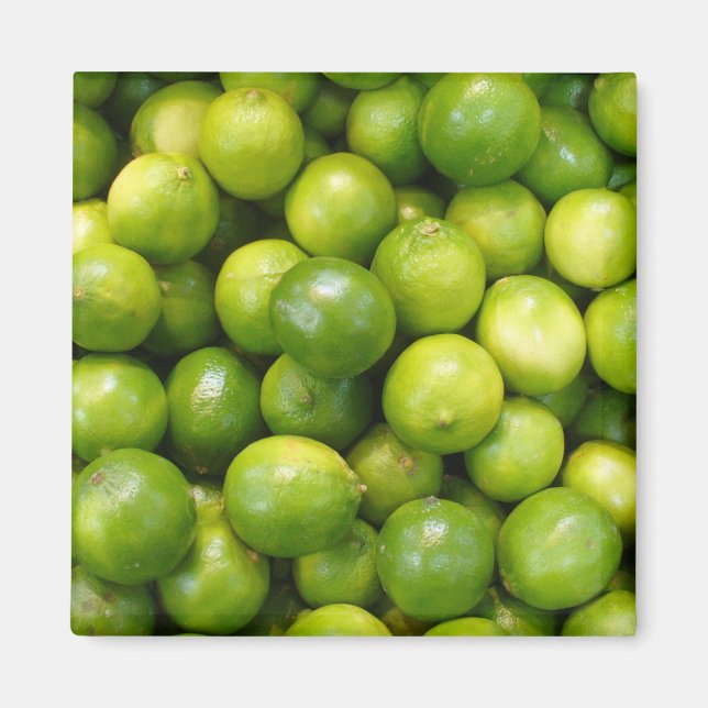 Limes Magnet 01 (Vorne)