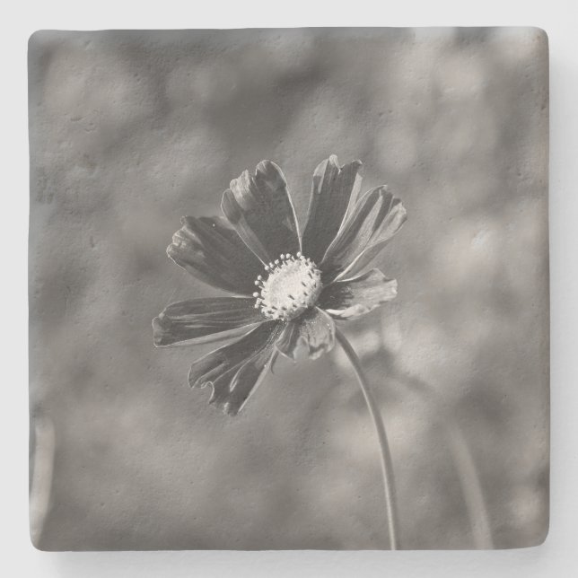 Limestone Coasters square Photography  Steinuntersetzer (Vorderseite)