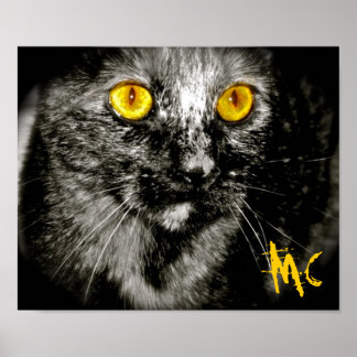 Limited Edition Monkey Cat Canvas Print Poster