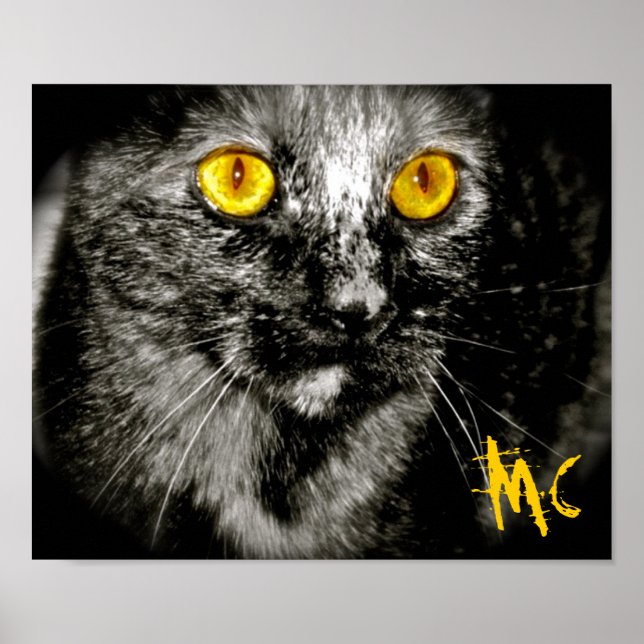 Limited Edition Monkey Cat Canvas Print Poster (Vorne)