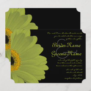 Limon & Fuchsia Gerber Daisy Wedding Einladung