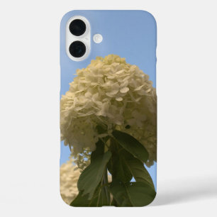 Limon Hydrangea Blume Blue Sky iPhone 16 Plus Hülle
