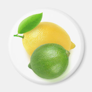 Limon und Zitrone Magnet