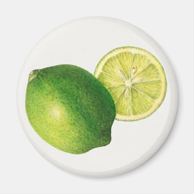 Limone Magnet (Vorne)