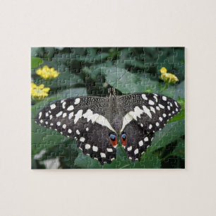 Limoner Schmetterling und Blume Puzzle