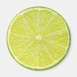 Limoner Teil Magnet