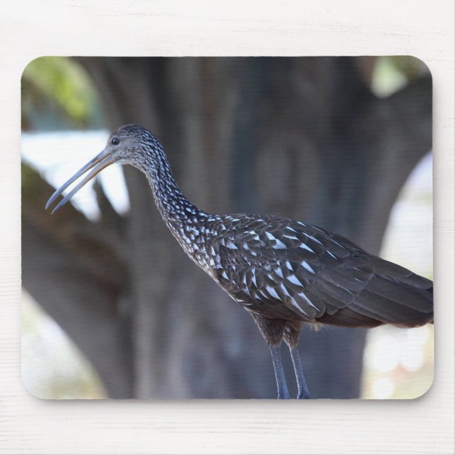 Limpkin Mousepad (Vorne)