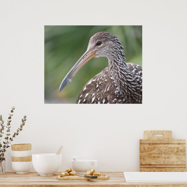 Limpkin Nah-Up Florida Bird Portrait Poster (Küche)