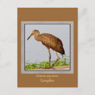 LImpkin Postkarte
