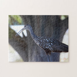 Limpkin Puzzle