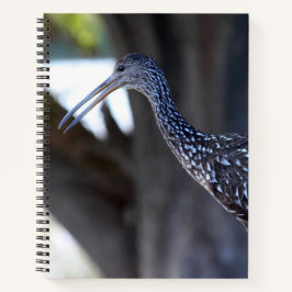 Limpkin, The Crying Bird Notizbuch