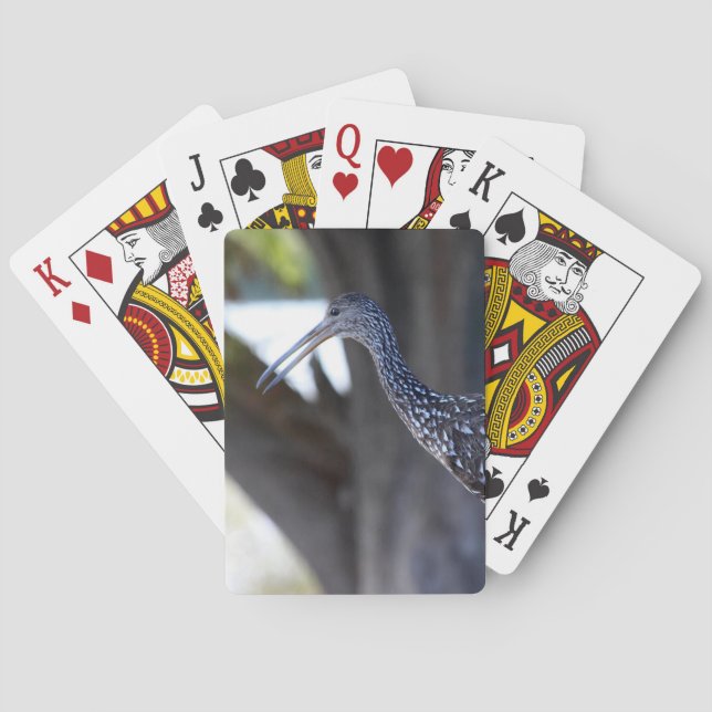 Limpkin, The Crying Bird Spielkarten (Rückseite)