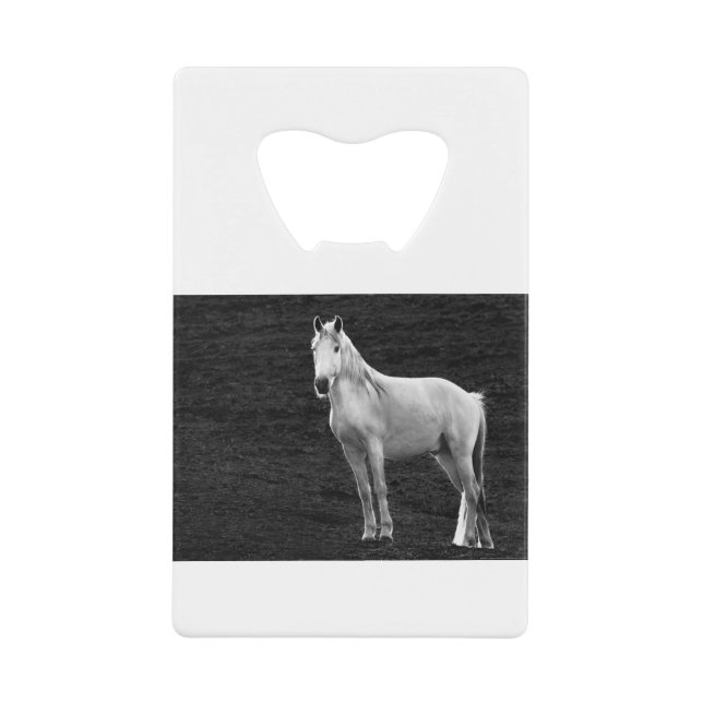 LIN10BW das Stance.tif Geldbeutel Flaschenöffner (Vorderseite)