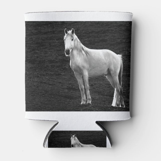 LIN10BW The Stance.tif Dosenkühler (Vorderseite)