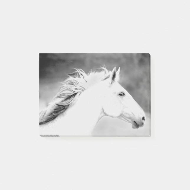 LIN26BW Mähne im Wind.tif Post-it Klebezettel (Vorderseite)