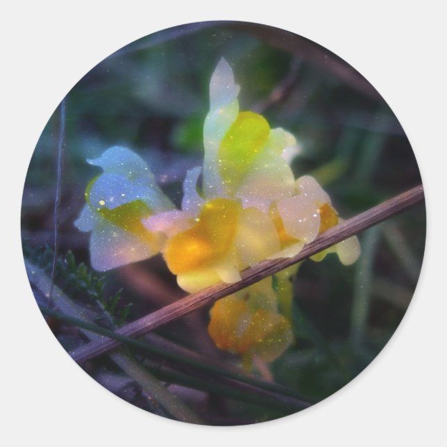 Linaria Runder Aufkleber (Vorderseite)