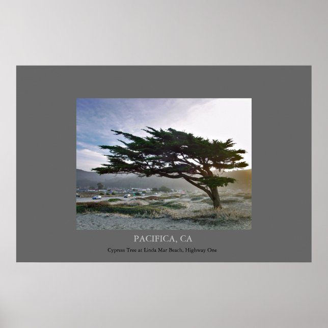 Linda Mar Cypress Poster (Vorne)