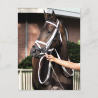 Linda Mimi von Glückwünschen