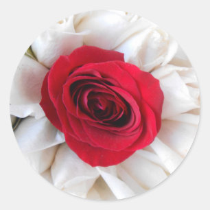 Lindegren Runder Aufkleber