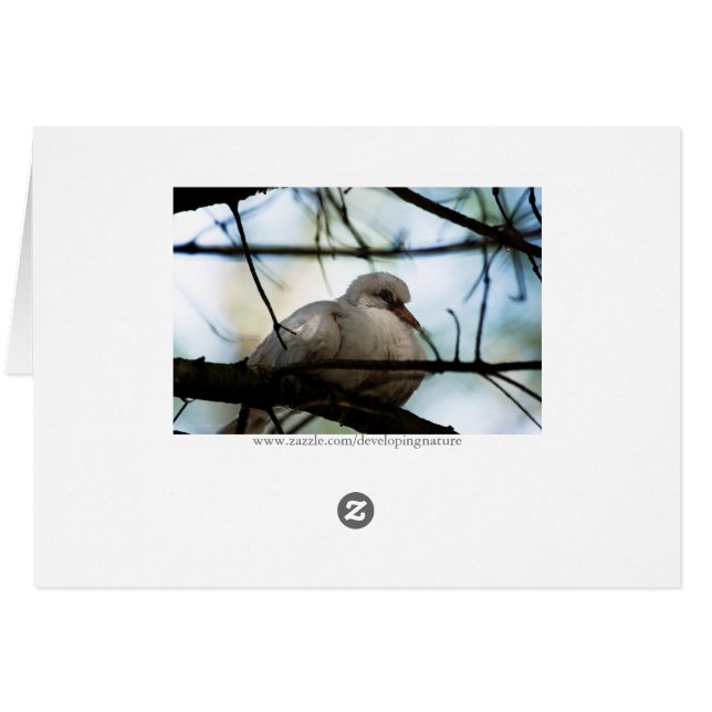 Line Master (Rückseite Horizontal)