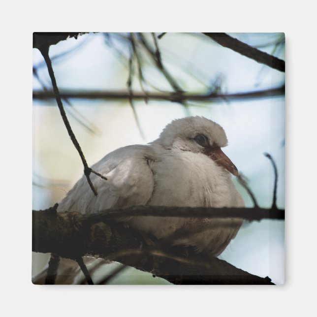 Line Master Magnet (Vorne)