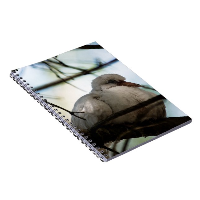 Line Master Notizblock (Rechte Seite)